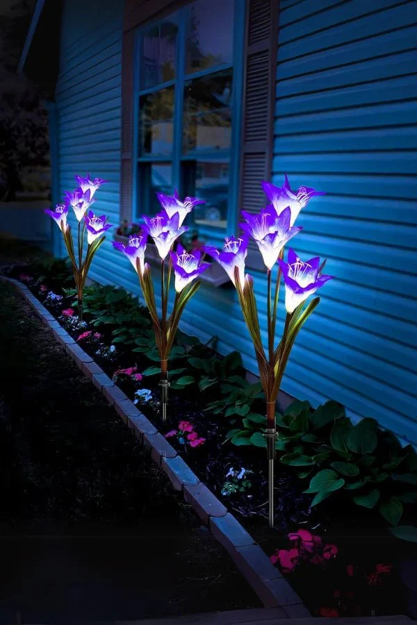 Eclipse Blossom - Image 2