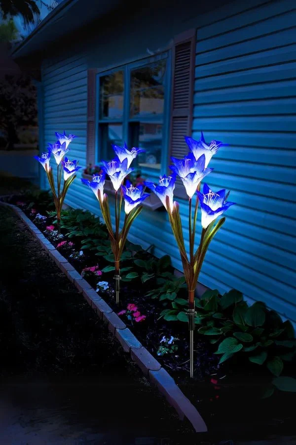 Eclipse Blossom - Image 3