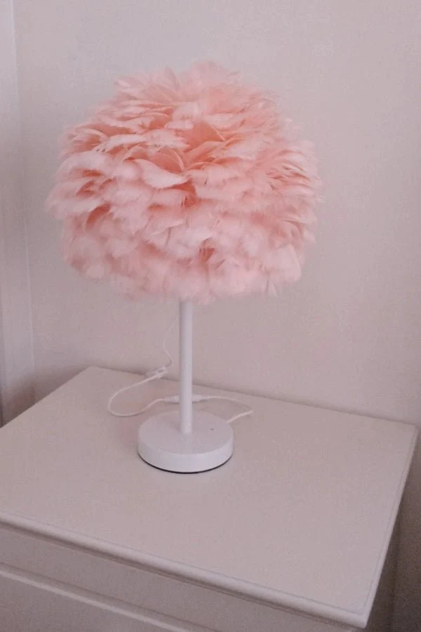 Feather Lamp - Image 5