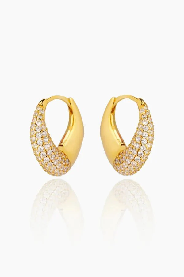 Felicity Hoop Earrings