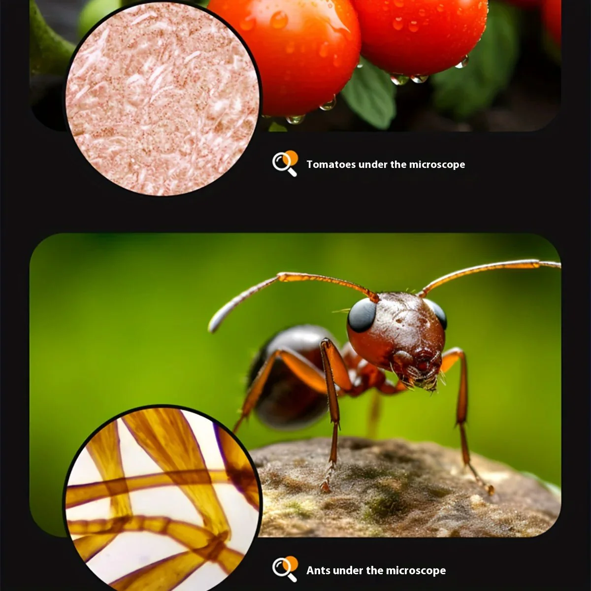Exploretech™ Mini Microscope with LED Light for Kids - Image 6