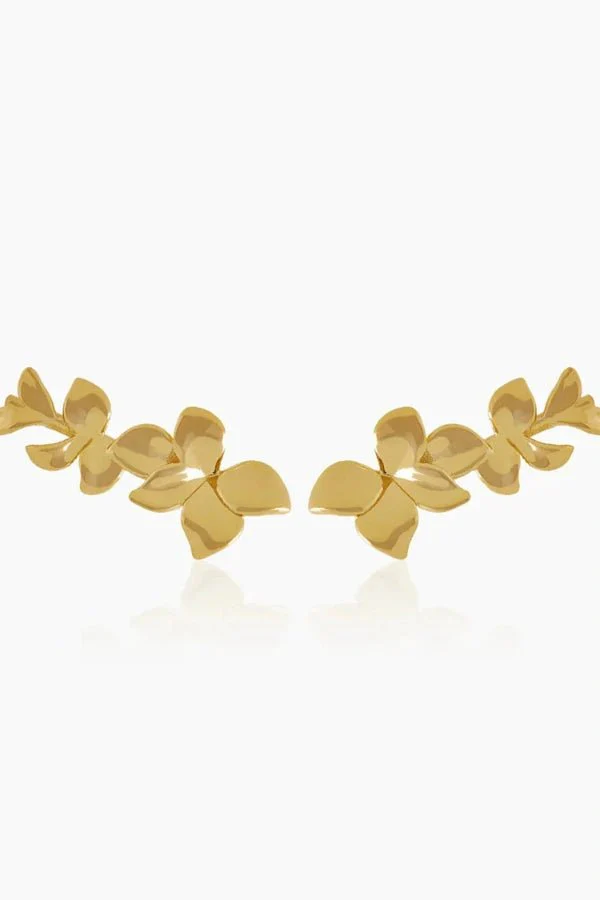 Orchid Gold